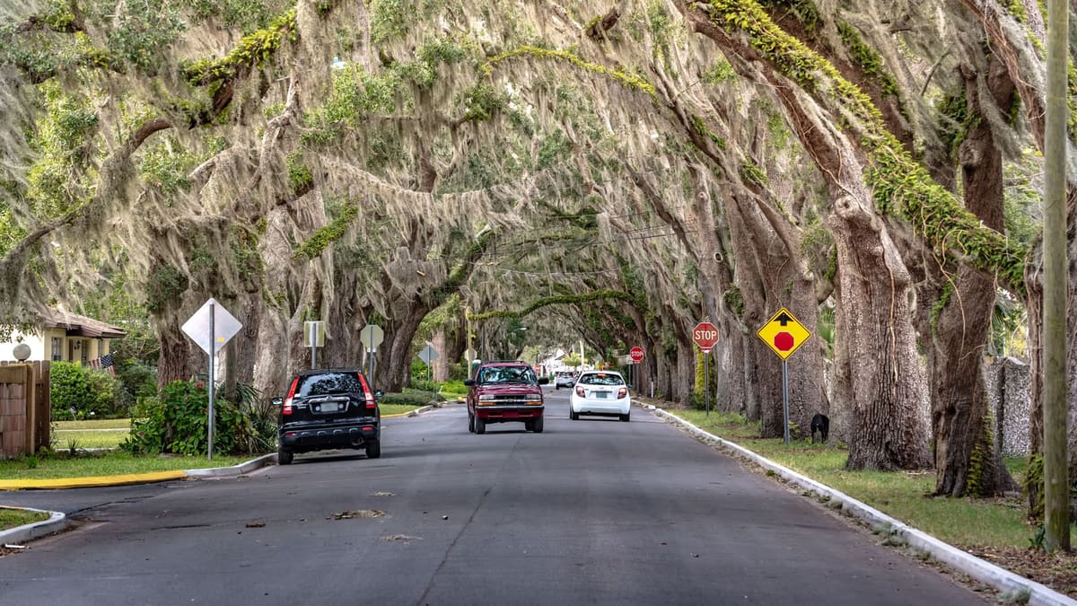 A residential street beneath mature trees in Cordova Park, Pensacola