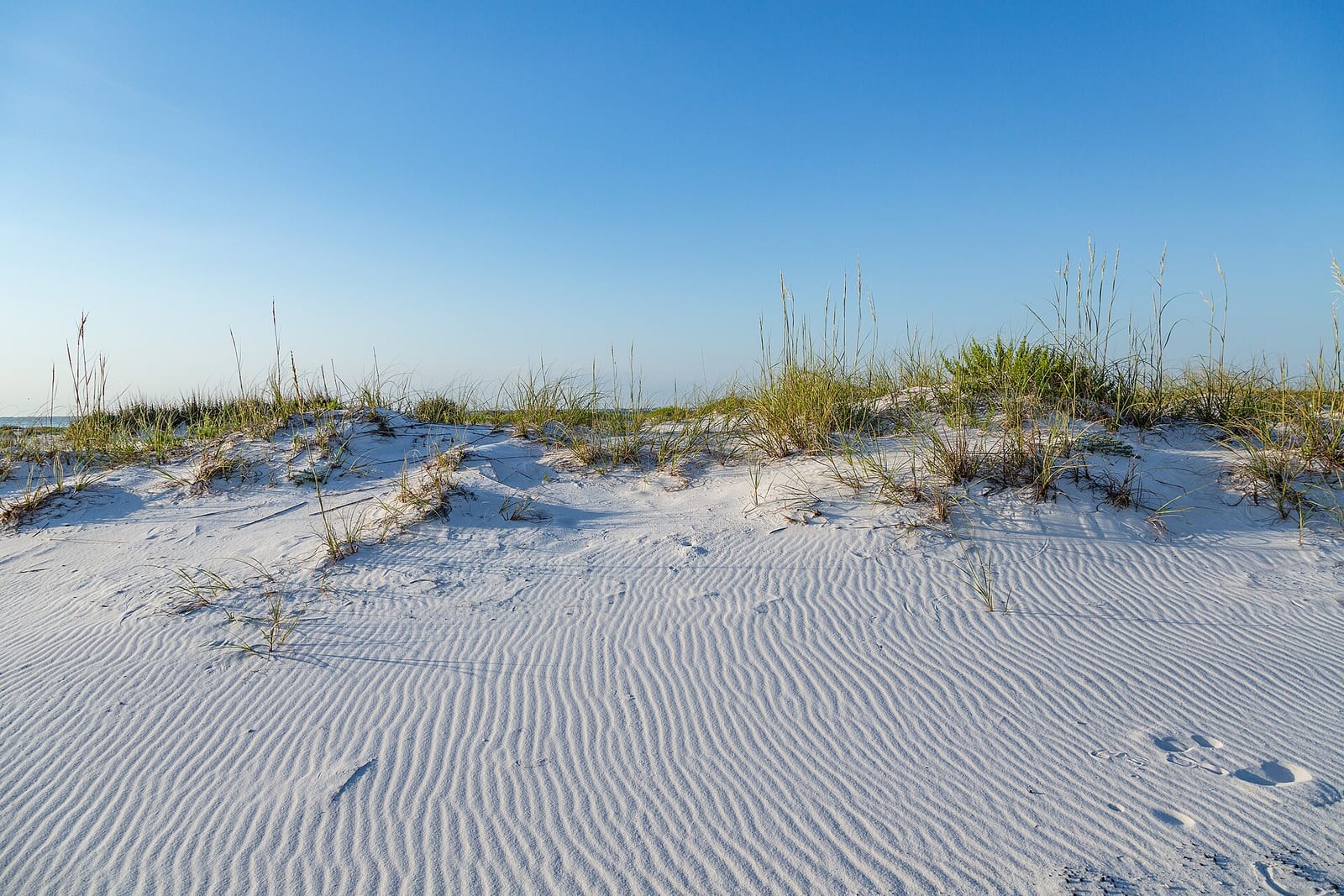 White sand and sea oats on Santa Rosa Island along the Florida Gulf Coast